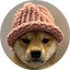 dogwifhat