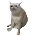 https://cdn-coins.bitpin.ir/image/coin/logo/cashcat.png